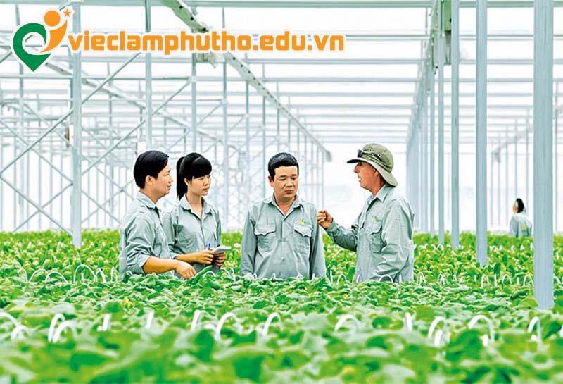 Nhân viên thu mua và sơ chế nông sản