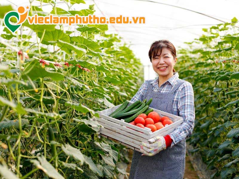 Nhu cầu tuyển việc làm nông nghiệp Phú Thọ