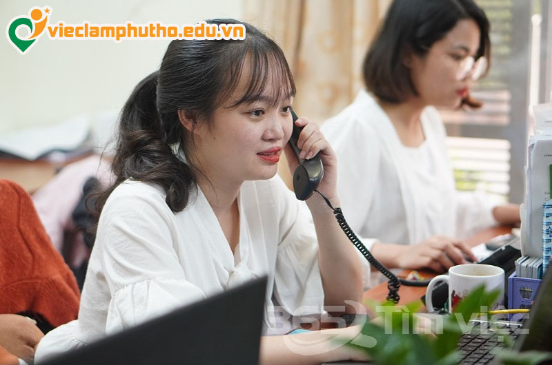 Yêu cầu cơ bản khi ứng tuyển việc làm tư vấn Phú Thọ