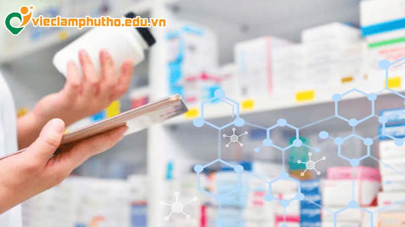 Bức tranh chung thị trường việc làm dược Phú Thọ