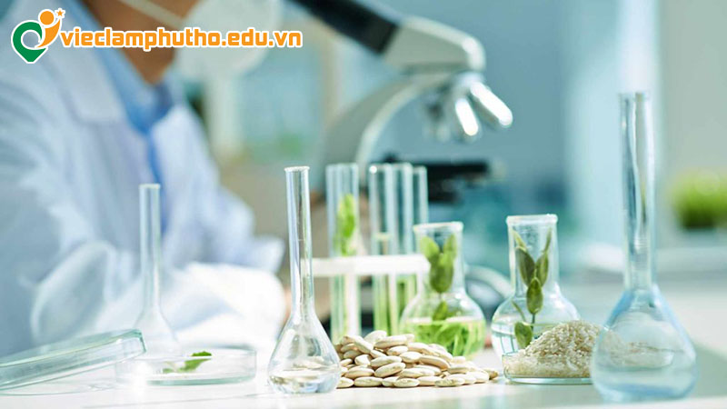 Các công ty và đơn vị có tuyển việc làm công nghệ sinh học Phú Thọ