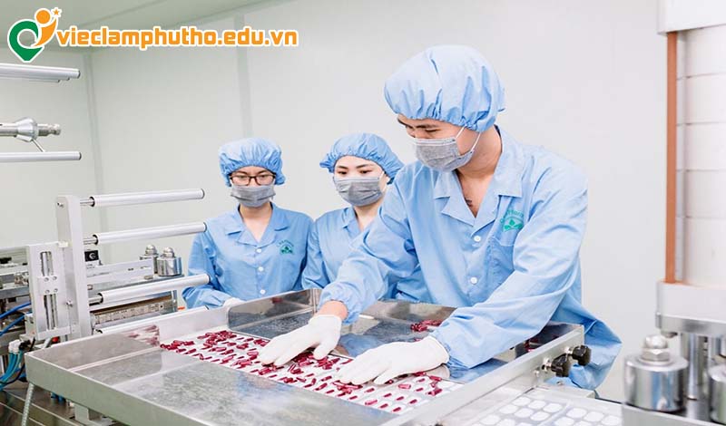 Các vị tuyển dụng công nghệ thực phẩm Phú Thọ