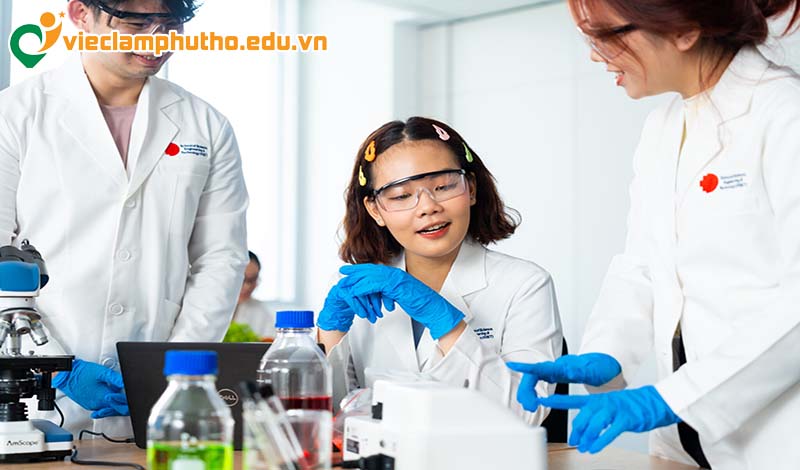 Công nghệ thực phẩm giữ vai trò gì trong chuỗi sản xuất tại Phú Thọ?