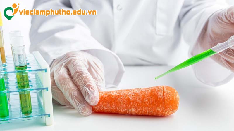 Lý do nên lựa chọn việc làm công nghệ thực phẩm Phú Thọ ở thời điểm hiện tại