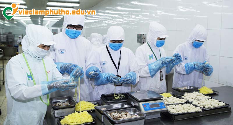 Mức lương đối với các vị trí việc làm công nghệ sinh học Phú Thọ