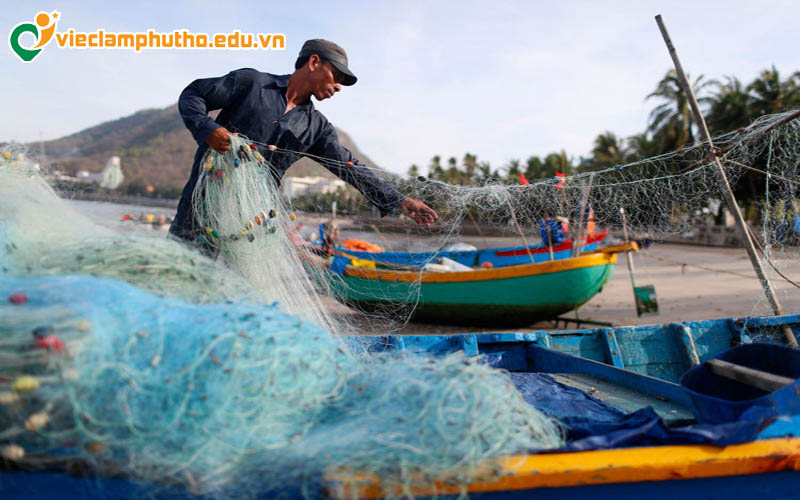 Mức lương hiện tại của các vị trí việc làm thuỷ sản Phú Thọ