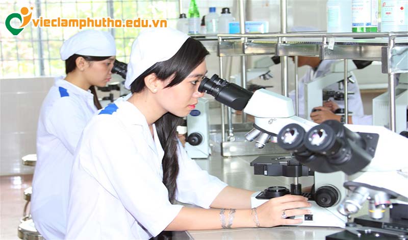 Thu nhập và chế độ đãi ngộ của việc làm dược Phú Thọ
