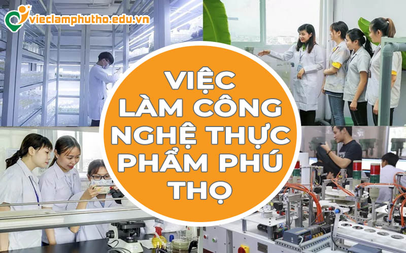 Việc làm công nghệ thực phẩm Phú Thọ: Tiềm năng từ thủ phủ chế biến nông sản
