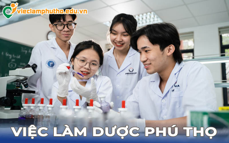 Việc làm dược Phú Thọ: Cơ hội nghề nghiệp vàng cho người lao động