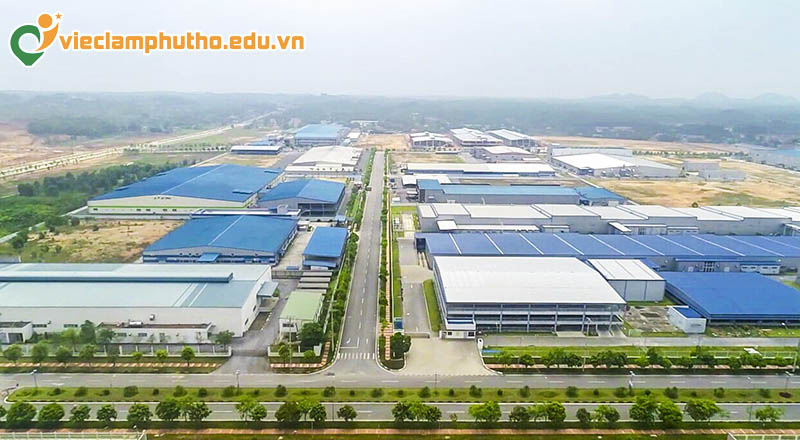 Cơ hội việc làm trong ngành logistics hiện nay tại Phú Thọ