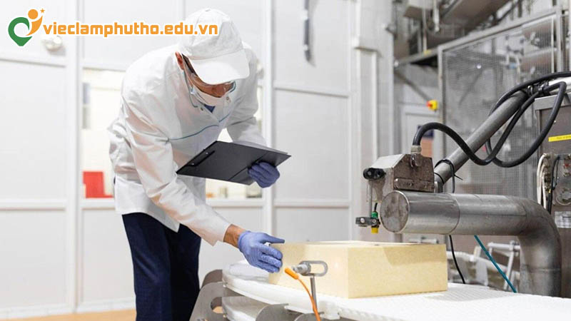 K&ecirc;nh t&igrave;m kiếm việc l&agrave;m quản l&yacute; chất lượng (QA/QC) Ph&uacute; Thọ quen thuộc của người lao động