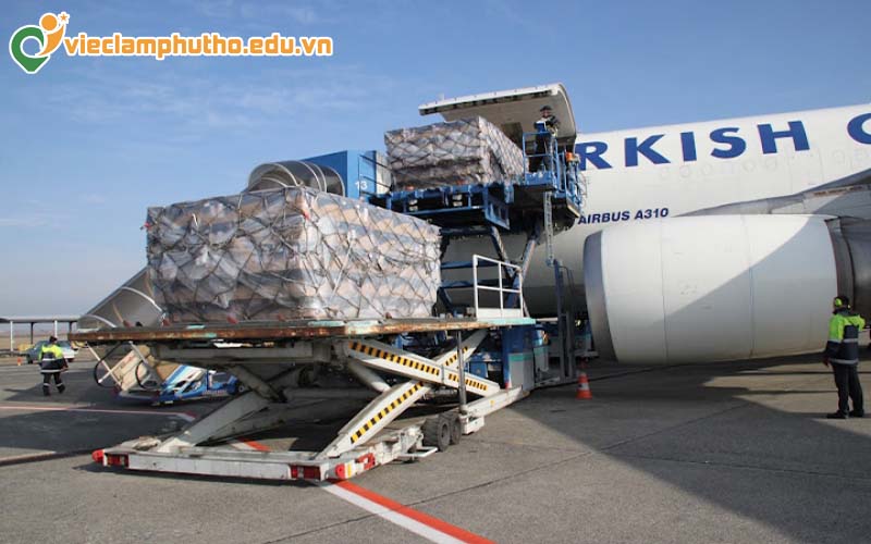 Nên lựa chọn kênh nào để tìm kiếm việc làm hàng hải / hàng không Phú Thọ?