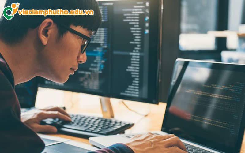 Những nhóm việc làm IT nào đang phổ biến nhất tại Phú Thọ?