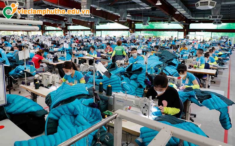 Việc làm lao động phổ thông là gì?
